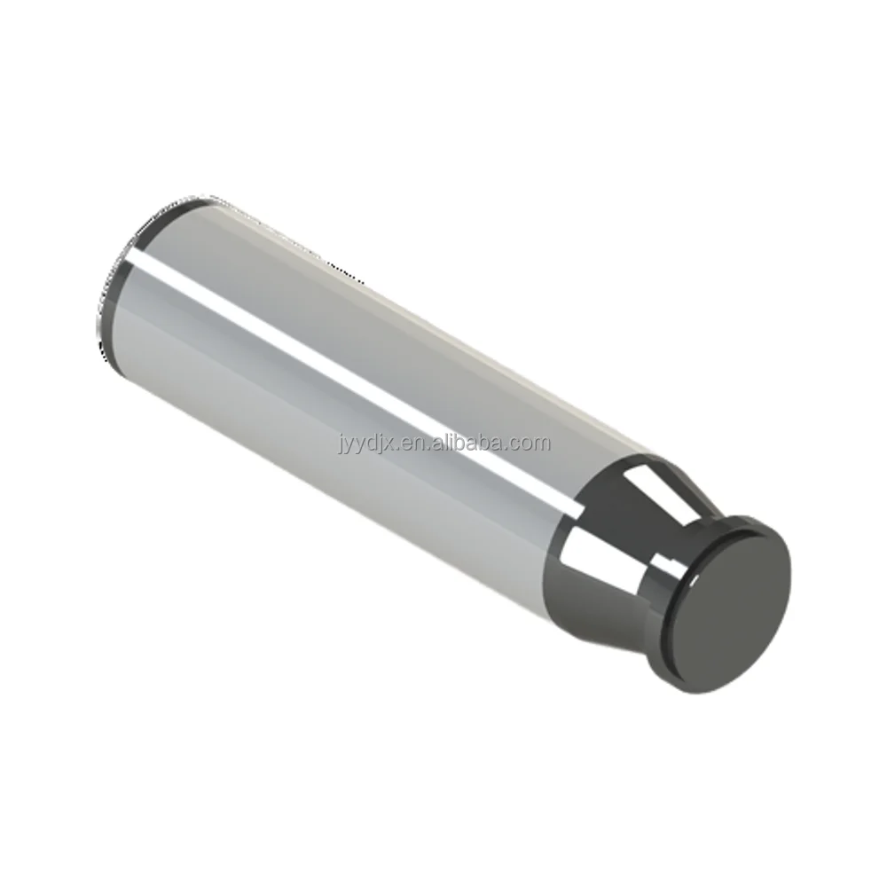 Factory Good Price Oilfield Drilling Oil Pump Special Plunger For Petroleum Equipment