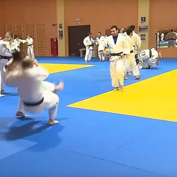 4cm IJF Approved Judo Mats from China Wrestling Mat Mattress