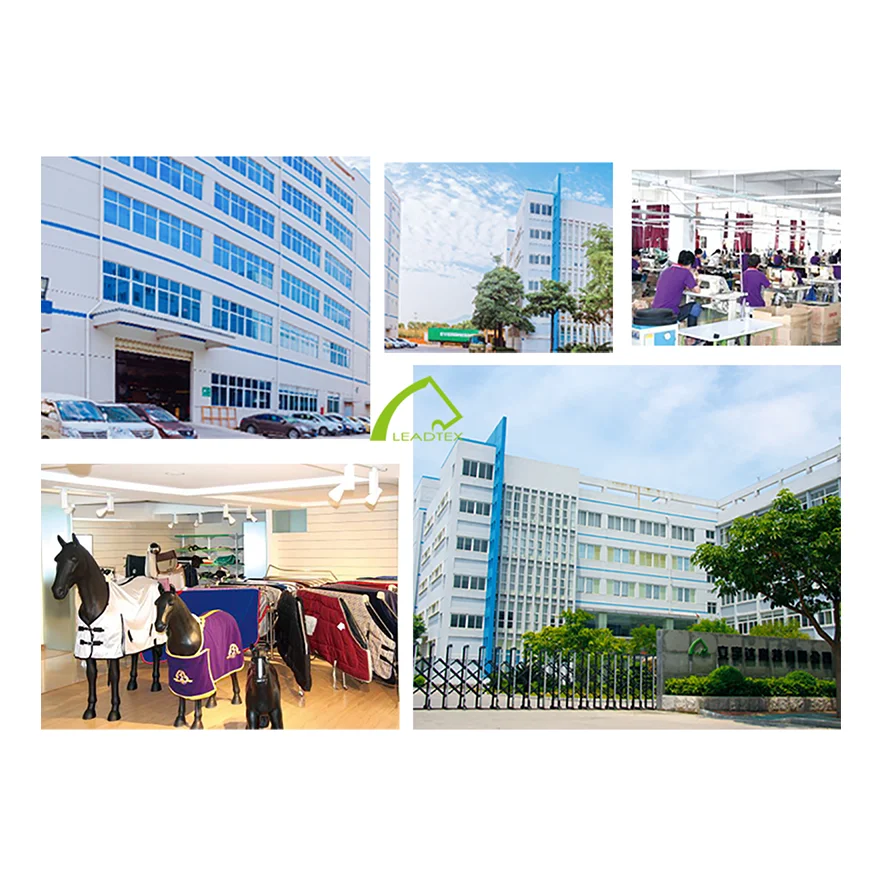 Professional Manufacturer Equestrian Equine Products High Quality Horse Riding Equipment Horse Bell Boots Customize