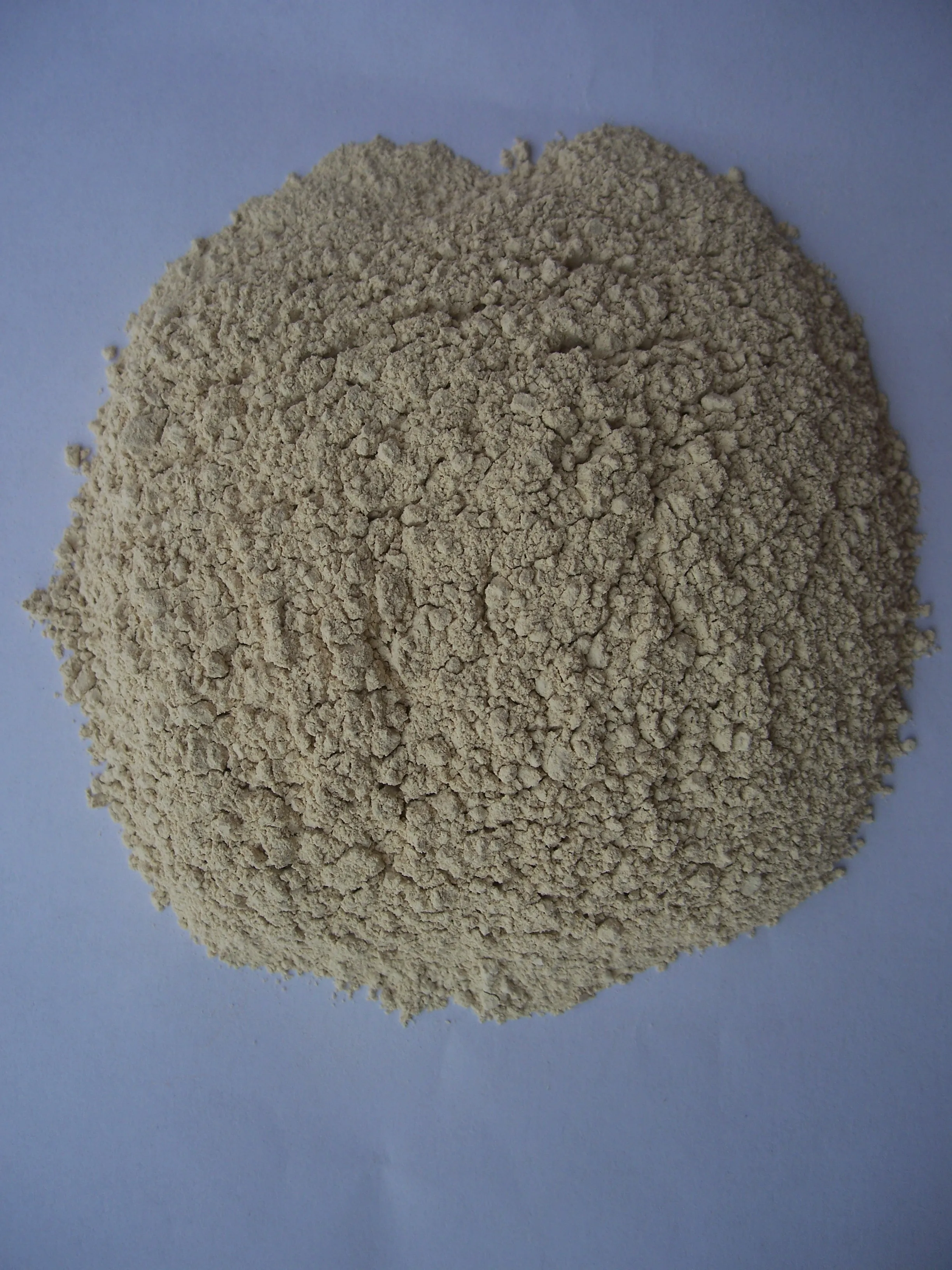 Health Feed Excellent Bacillus Subtilis Probiotic Capsules