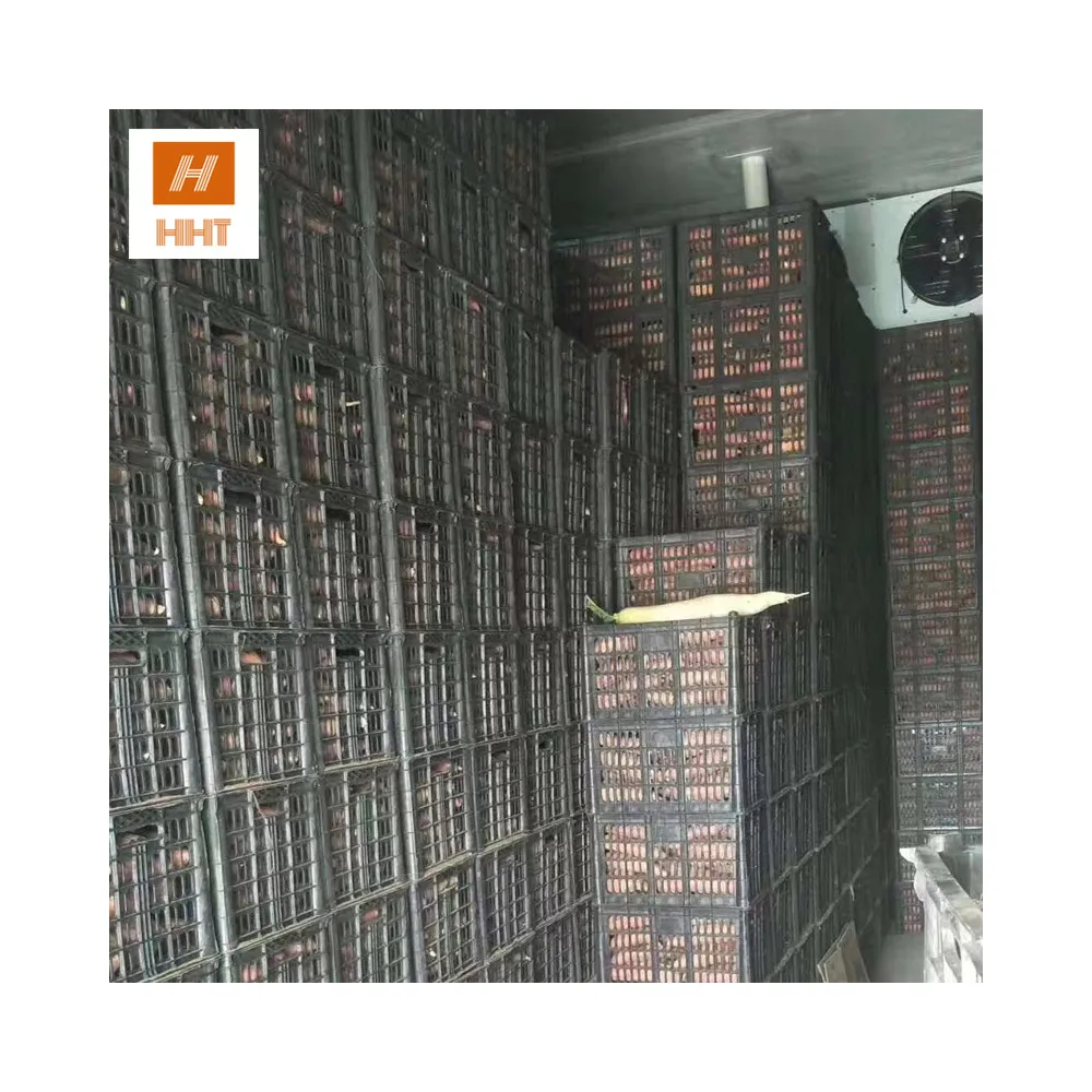 Портативная камера для прогулок frezzer colroom для продажи в Эфиопии
