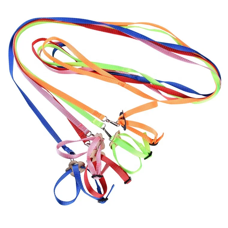 small animals leash multicolor adjustable bird harness and leash complete set birds harness training Parrot leash