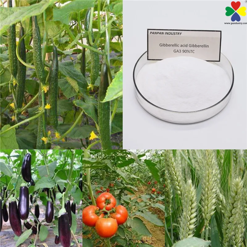Gibberellic GA3 90%tc1