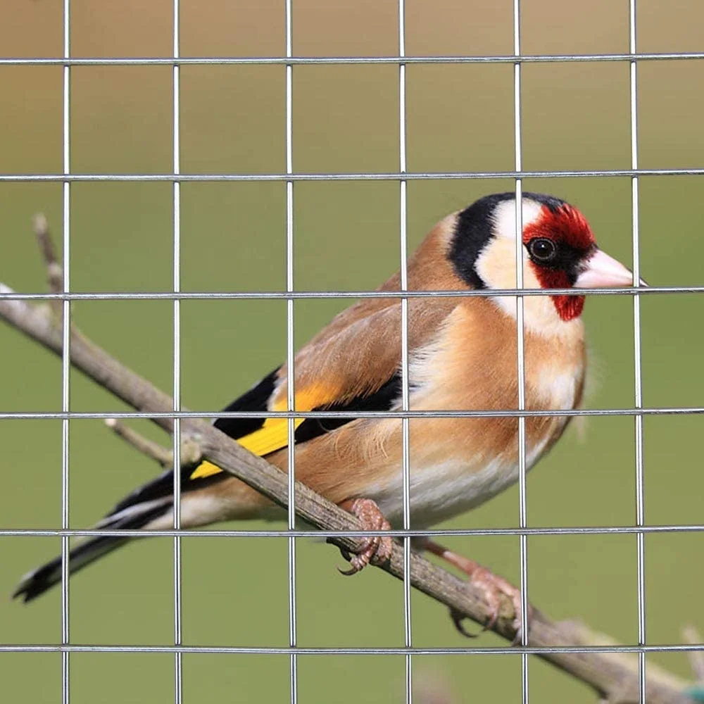 High quality finest price uniform mesh galvanized welded wire mesh construction