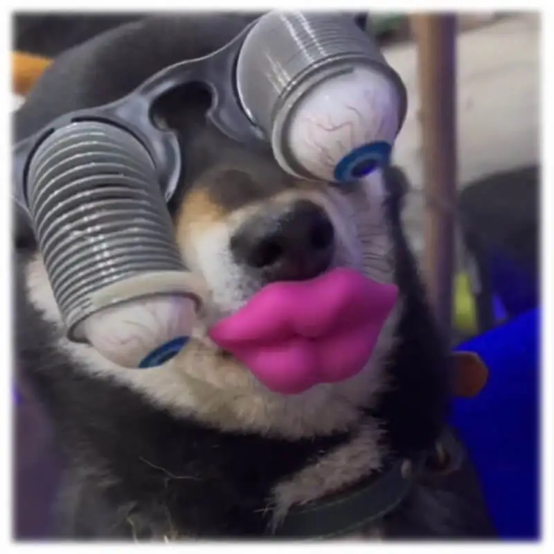 Funny pet dog accessories Funny bouncing glasses Spoof toy Holiday dress Halloween dog Headwear