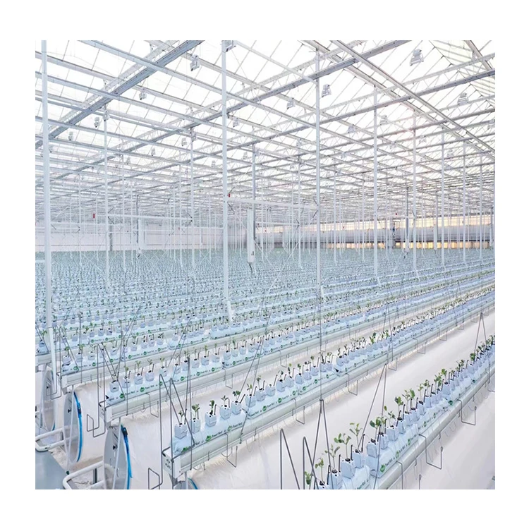 The Fine Quality Price  Plastic Garden Tunnel Span Glass Greenhouse Agricultural Supply