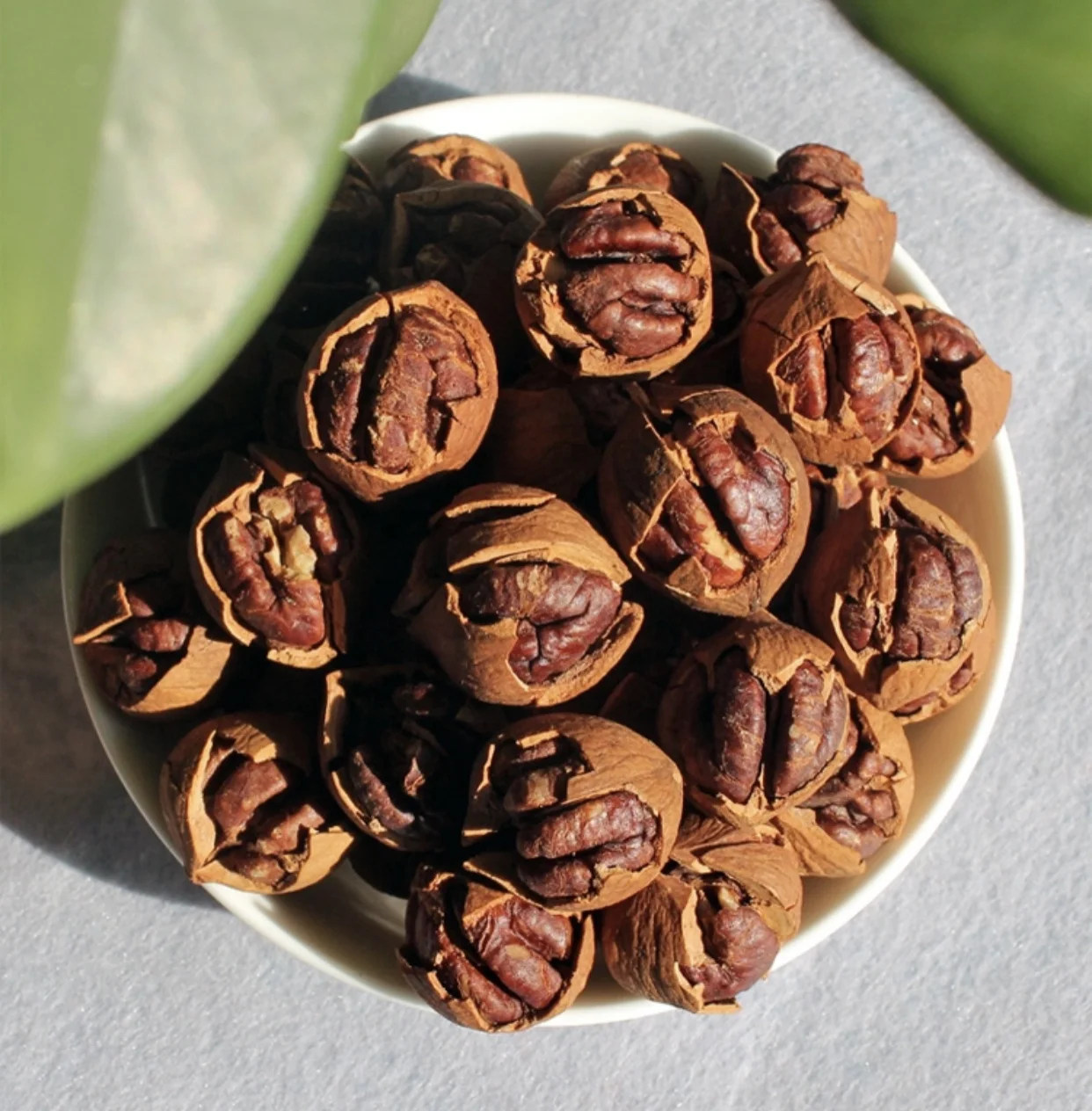 delicious healthy pecans OEM with shell carya cathayensis nuts  organic snacks Chinese dried walnuts hickory