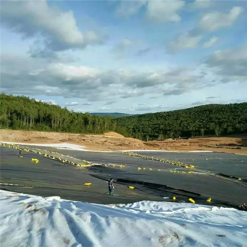 Непроницаемый Водонепроницаемый черный HDPE 1 0 мм геомембрана для рыбной фермы