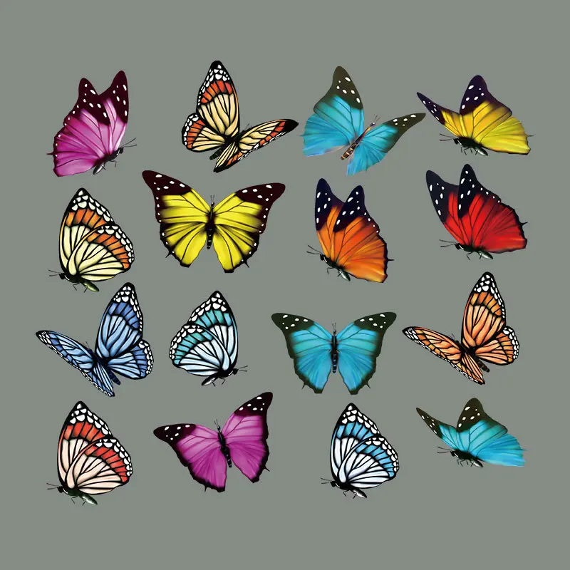New color butterfly hot stamping custom printing plastisol sticker heat transfers