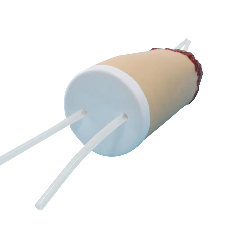 ADA-H3008 Lower amputated limbs trauma hemostasis model