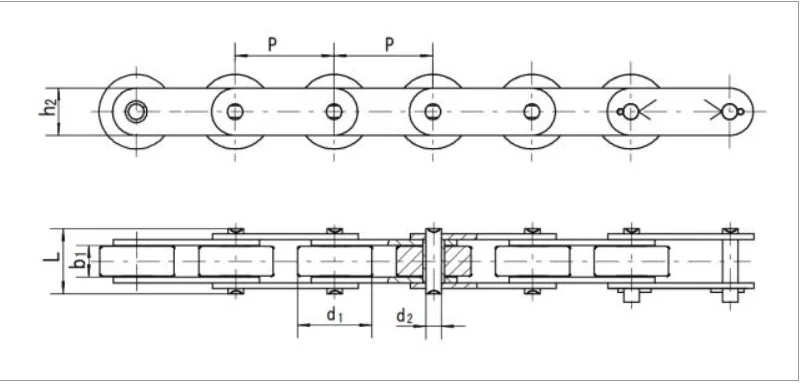SSC224A stainless steel Double pitch conveyor chains with industrial role