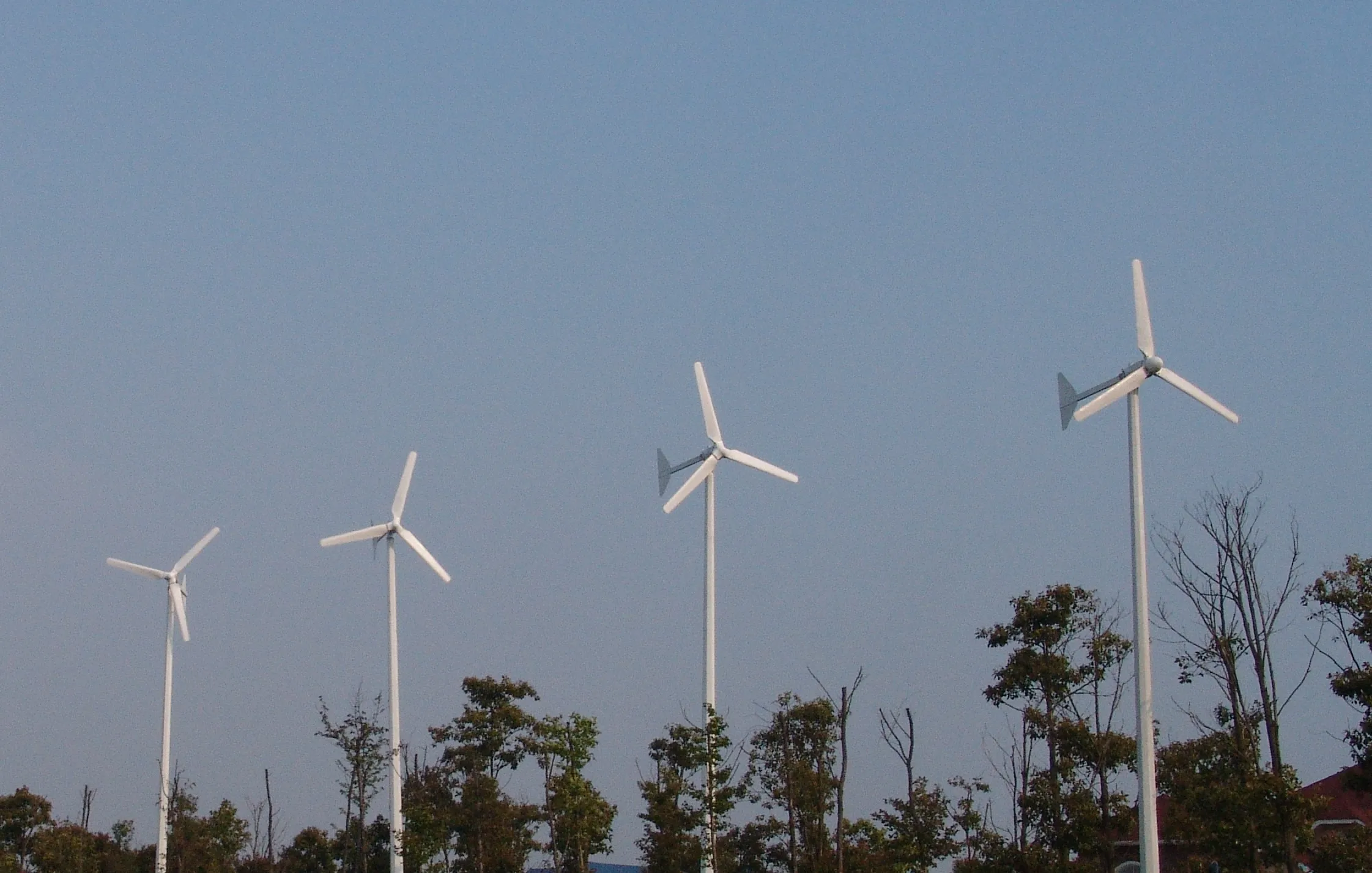 1500W wind generator CE Certificated customized  1.5KW 48v 96v 220v 240v Wind Turbine Generator for home