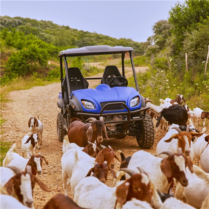 Wholesale price   side by side quad 10kw  electric  dune buggy 4 seat 2seat UTV