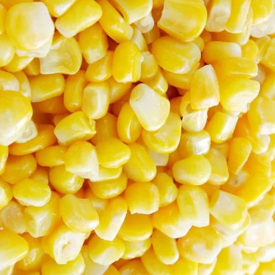 Whole Style and IQF Freezing Process sweet corn kernels with high quality