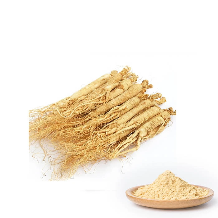 Hot sale korean ginseng extract powder