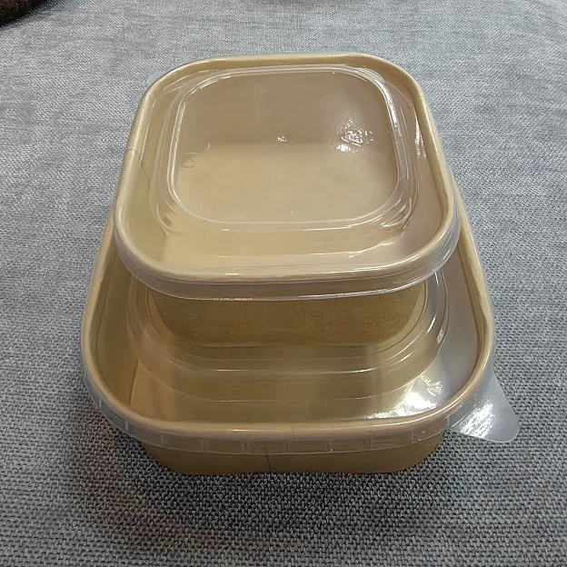 EcoFriendly Custom Disposable Container Take Away Lunch Packing Boxes for Fast Food Food Grade Paper Packaging Box Container