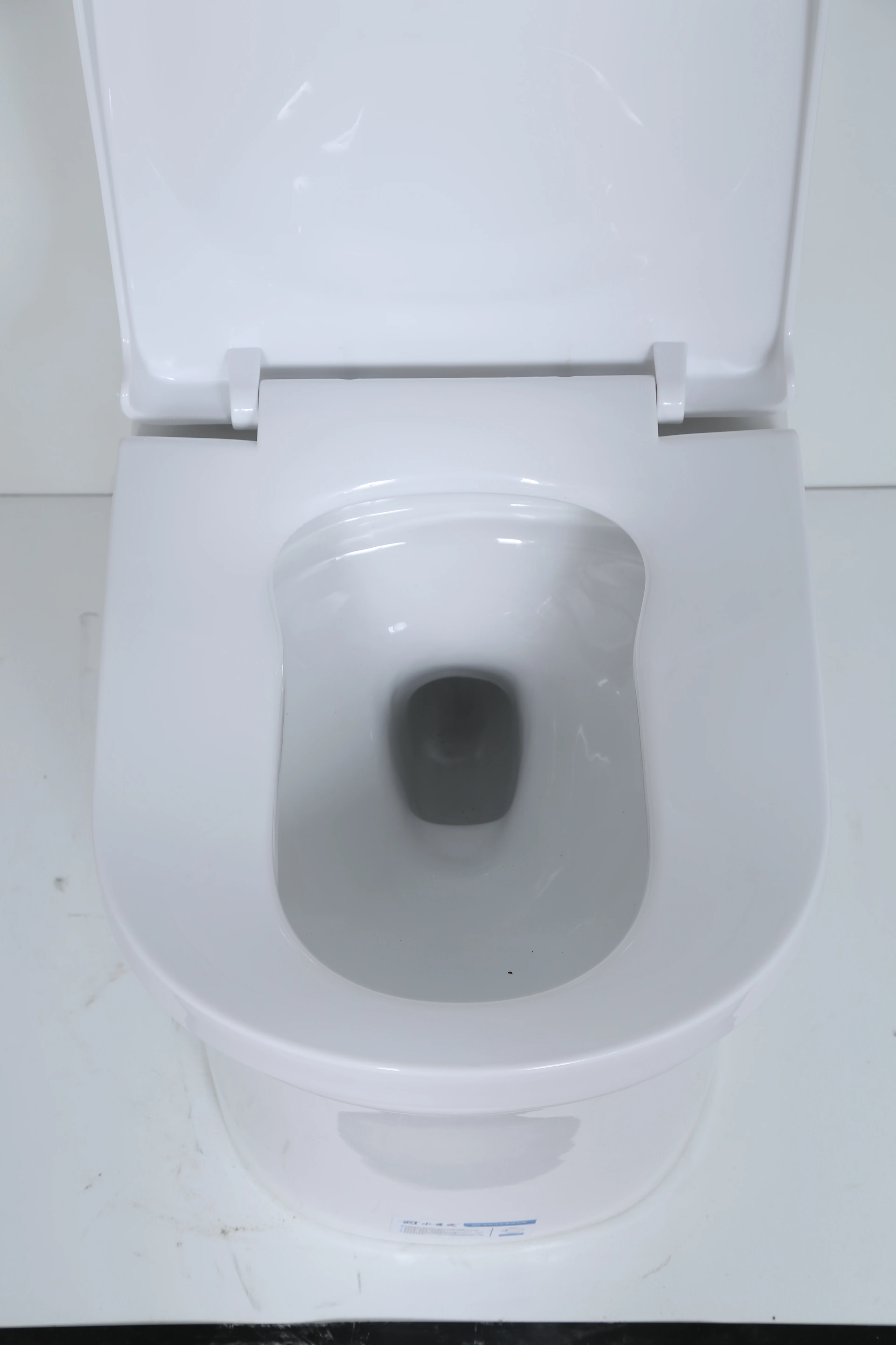 Modern European Style Economic Ceramic Bathroom Toilet Set Two-Piece Back to Wall Sanitary Ware for Villas