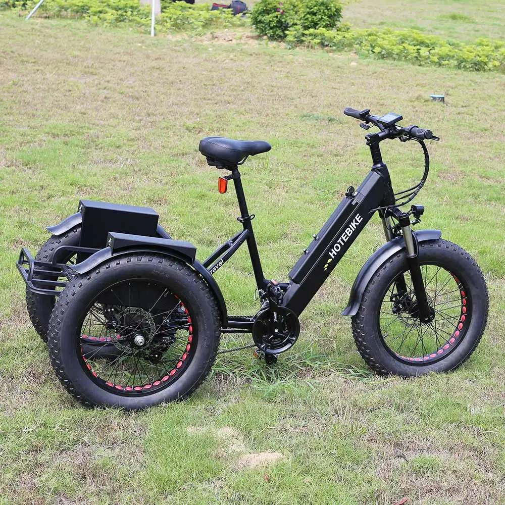 Three Wheels Cargo Electric Tricycle Motorcycle Mobility Scooter ebike 3 wheels electric bike with cover/electric bike 3 wheels