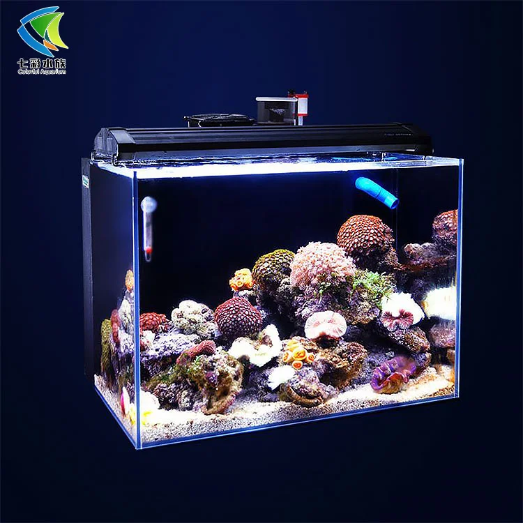 Factory direct sales desktop fish tank high quality ultra-white glass material high light transmittance convenient and beauty