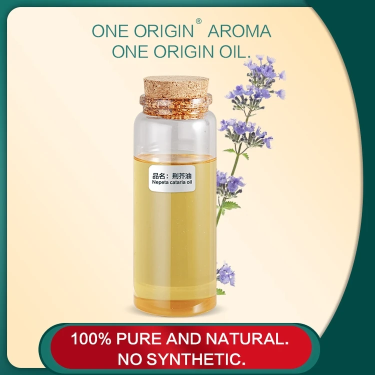 factory bulk natural plant extracted  catnip oil cat mint oil nepeta cataria hoja oil for weight loss