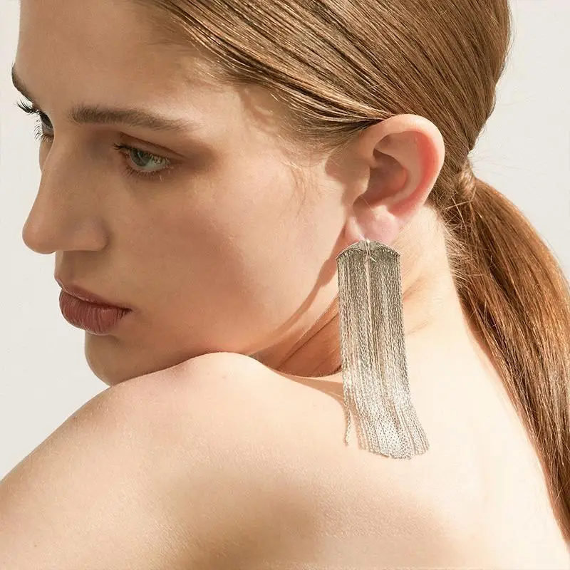 FY Fashion Jewelry Fine 925 Silver Post  Exquisite Vintage Boho Chain Linear Tassel Drop Dangling Birds Earrings For Women Men