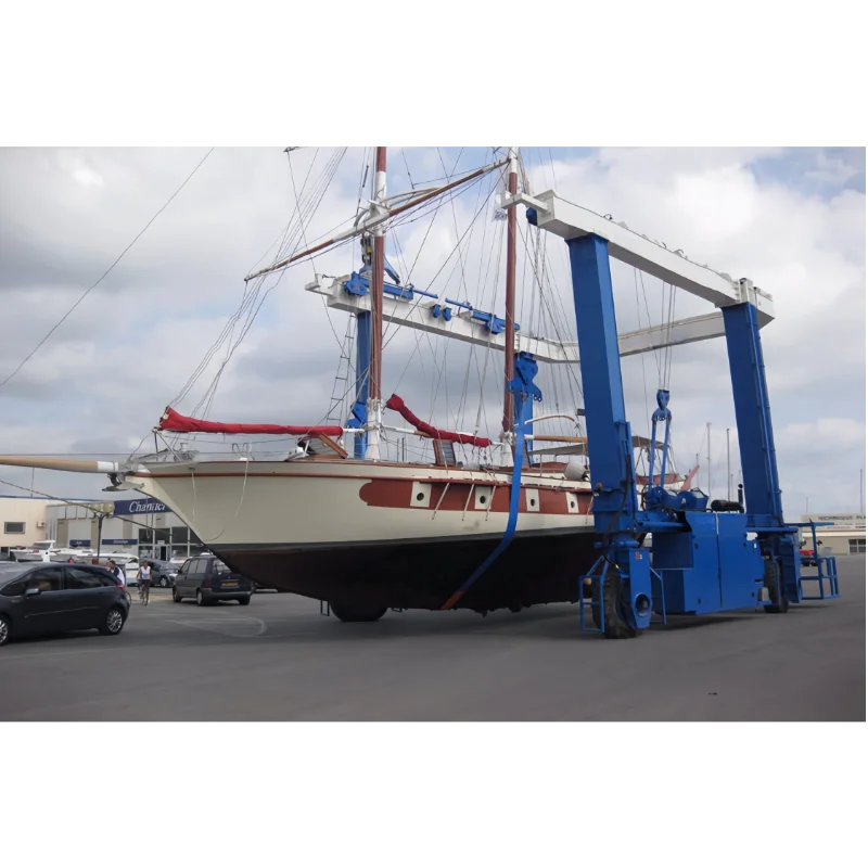Mini Mobile Lifting Hoist Used and New Condition for Construction Farm Home Use Building Material Shops
