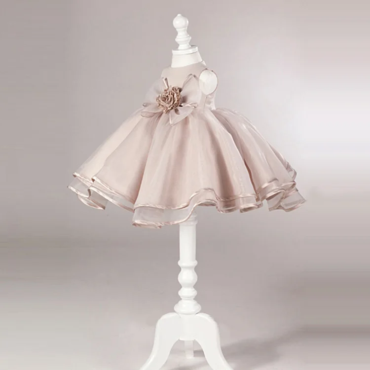 Princess pompadour dress
