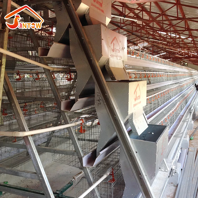 Chicken Poultry Layer Cages System