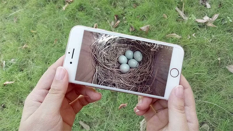 New Arrival CMOS 1080P 5MP IP Network P2P Cctv SD Card IR CUT Infrared Mini IR Wifi Wireless Camera With Double Bracket Camhi