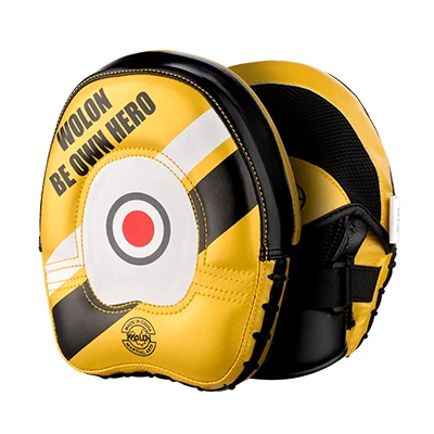 Custom your own logo training boxing pads and gloves professional bag gloves