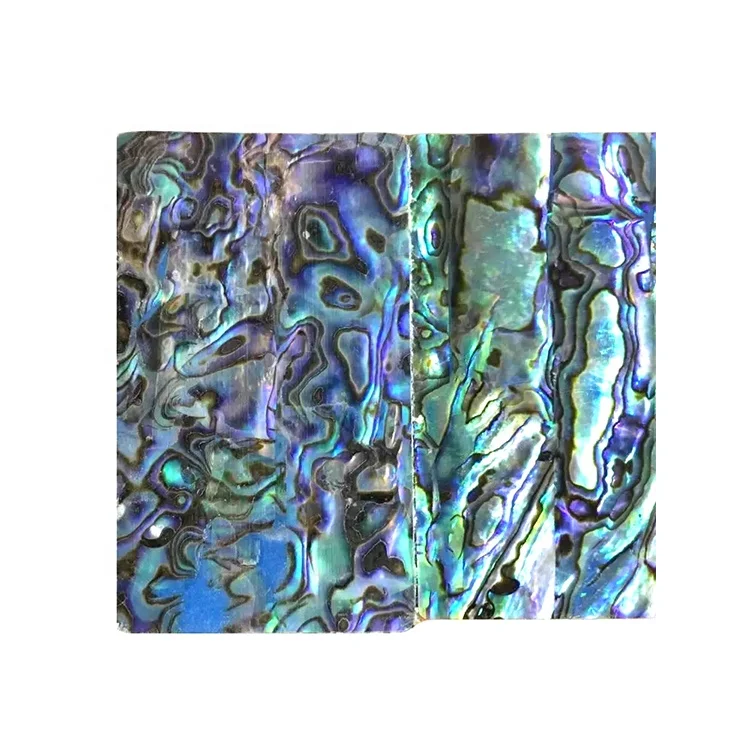 Wholesale abalone shell mosaic cabochon for jewelry Abalone Shell Loose Stone Abalone Shell precious