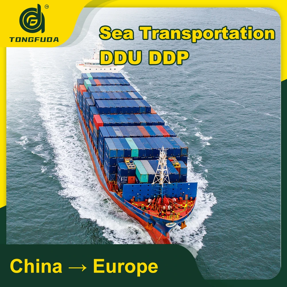 Lcl Fcl Sea Freight Forwarder Rates from China International Cheap 20ft 40ft Transit Time Storage AIR Pcs Feedback Cargo Label