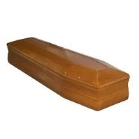 Wholesale Factory Price Funeral Supplies Equipment Crematorium Wooden Coffin Funeral Casket