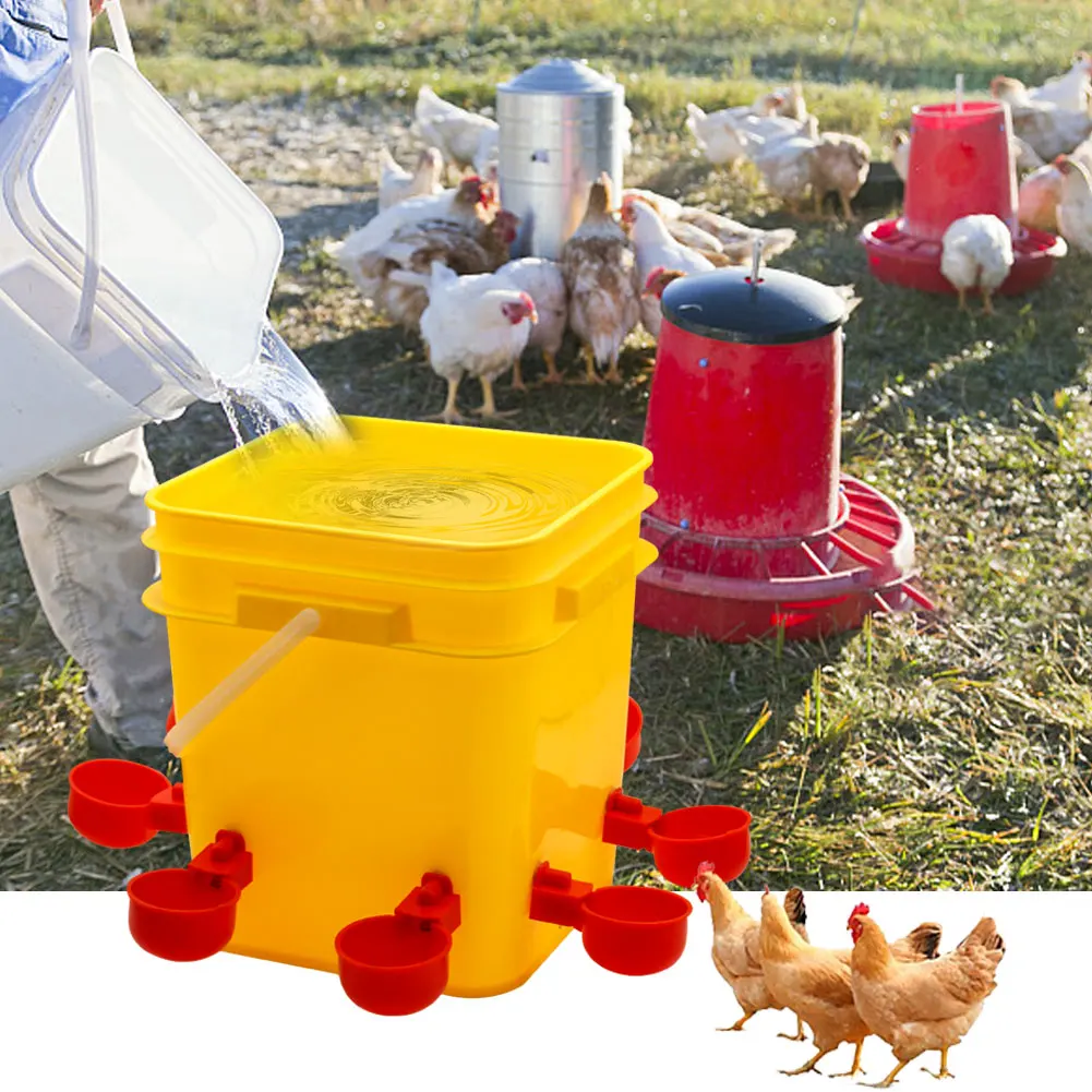 Poultry Automatic Plastic 10L Drinker and Feeder Barrel Chicken Water  Bucket