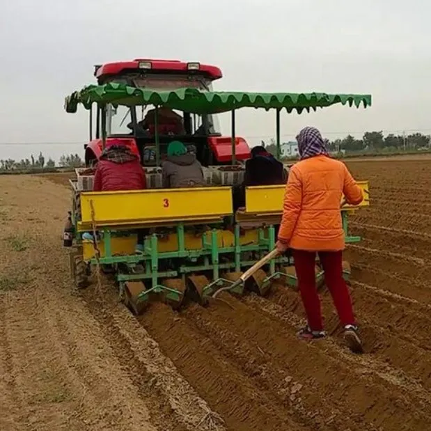 crawler watermelon seedling planter three rows lettuce licorice transplanter large amount of adjustable transplanting machine