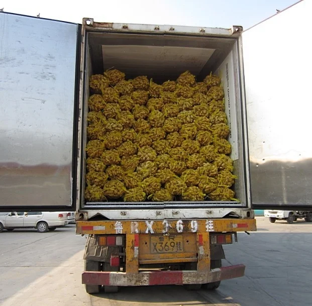 High quality Dry Ginger Professional export Fresh Clean ginger for wholesale