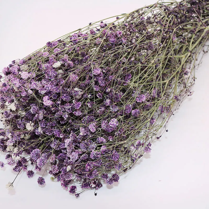  Домашний декор красивый красочный цветок babysbreath gysophila сохраненный гироскопиальный свадебное