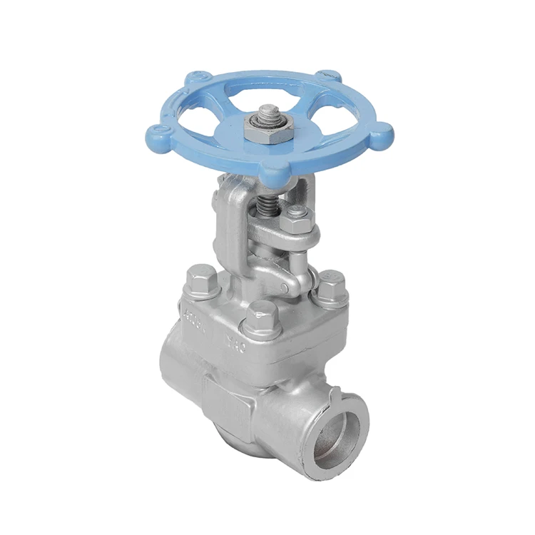 
Super professional gate valve High - clean non - oil degreased forged steel socket welding gate valve 