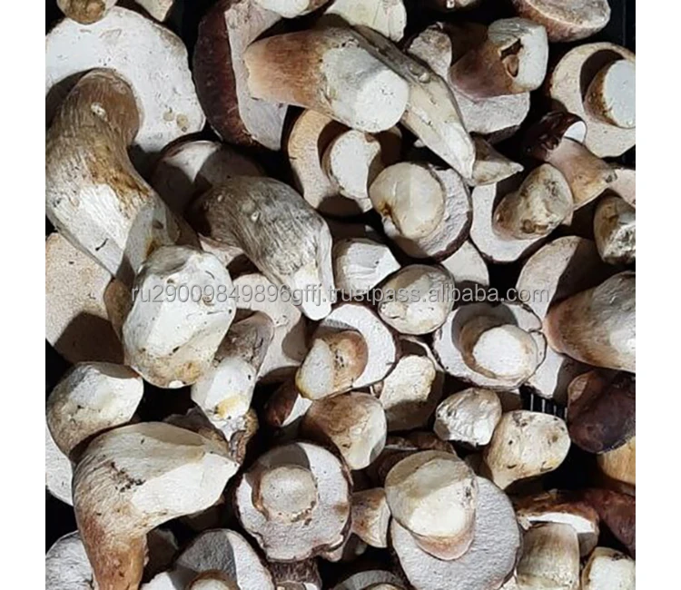 Экологически чистый замороженный куб-гриб porcini собранный в лесах Карелии