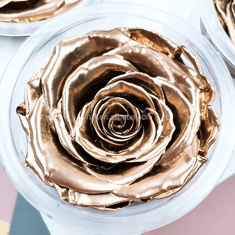 ZanTe wholesale special colors immortal fleur grade A eternal real roses flower box order dipped Golden Silver Preserved Roses