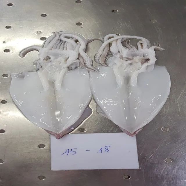
FROZEN CUT POULP SQUID FROM VIET NAM 