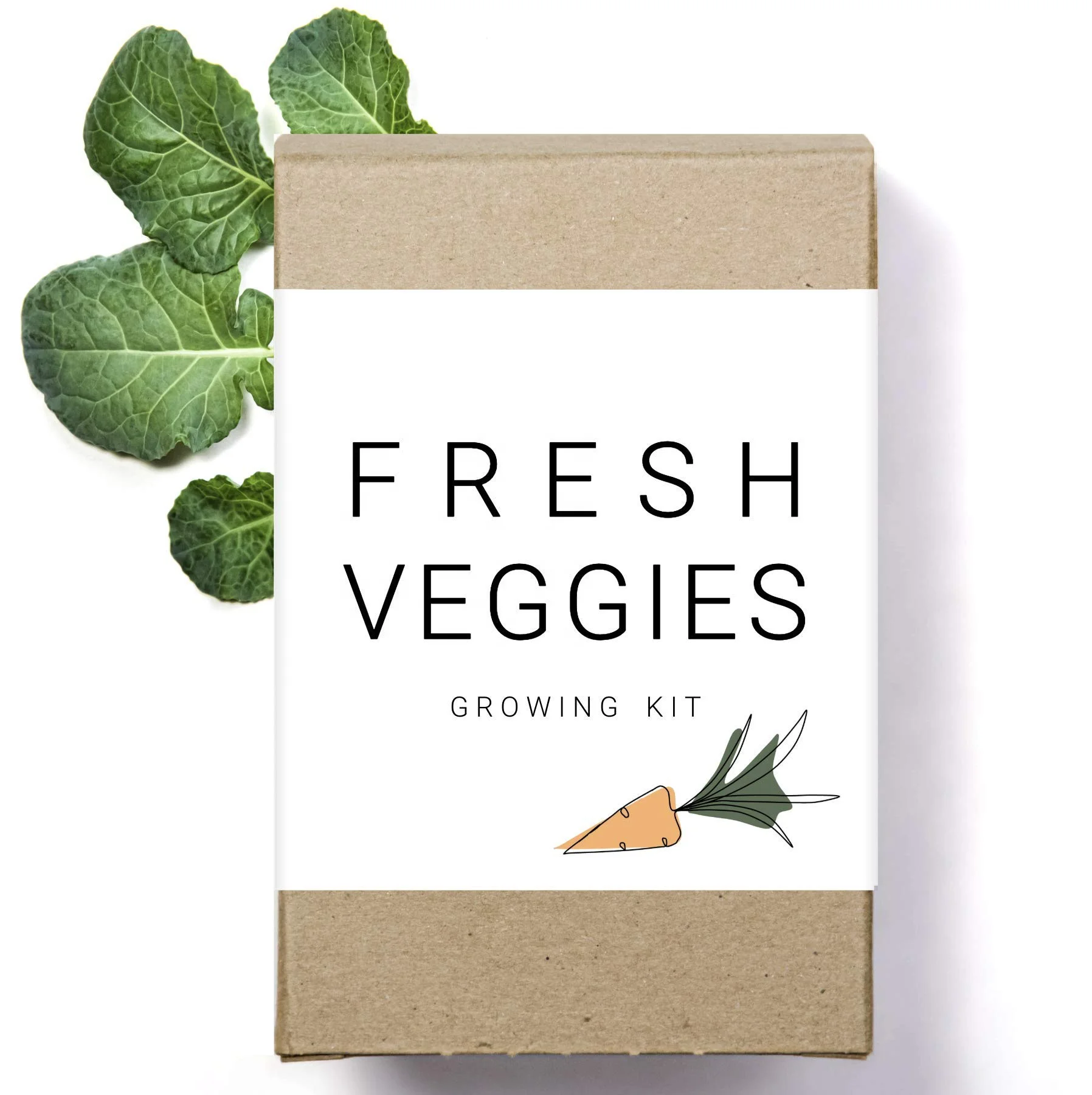 Лидер продаж, набор для приготовления семян сада для домашних овощей