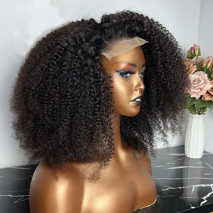 Top quality kinky curly glueless 5x5 closure hd lace wig raw Indian temple human hair bundles and wigs wholesale vendors
