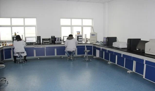 newest batch chicory root extract Inulin powder inulin 90% fast delivery large quantity in stock for sale