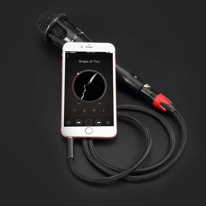 Высококачественный гнездовой микрофонный кабель GOLLEY LION с XLR на 3 5 мм Aux-кабель аудиокабель