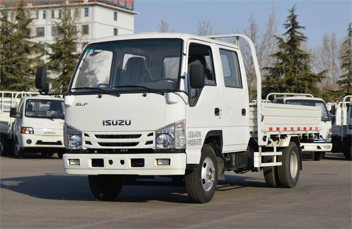 Isuzu NPR 100P Diesel 4X2 Double Cab Light Duty Cargo Van Factory Price on Sale Used Condition