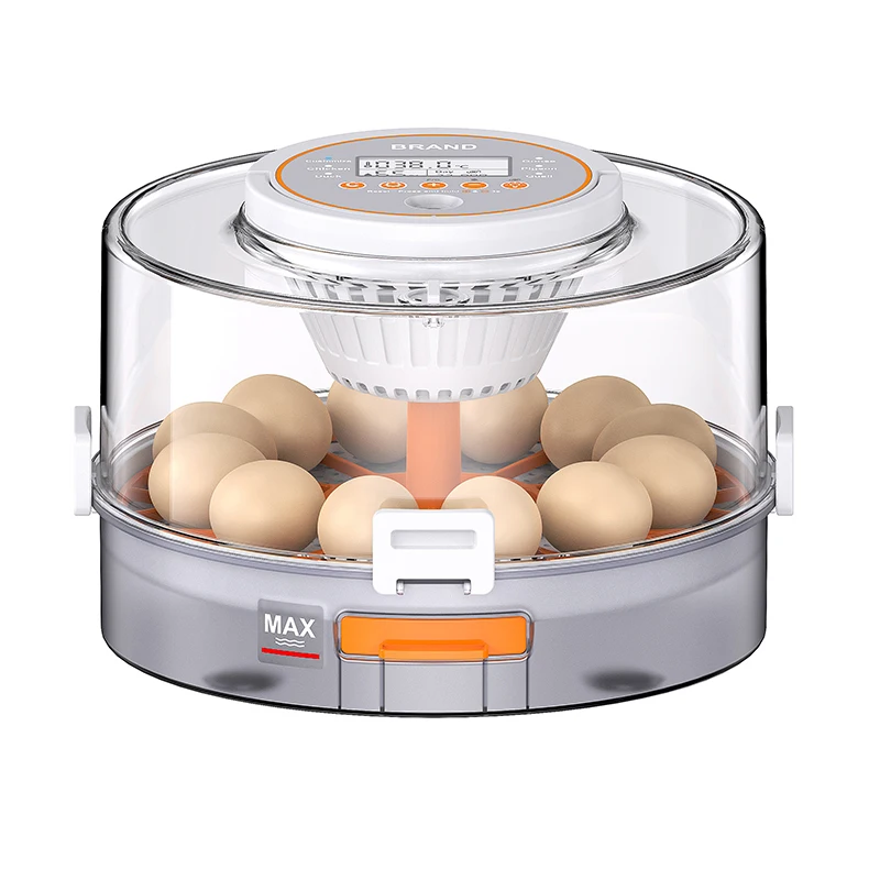 Egg Incubator 12-Egg Capacity Features 360 Degree Rotating Egg Tray Temperature Humidity Readouts for Chicken, Duck, Quail Eggs