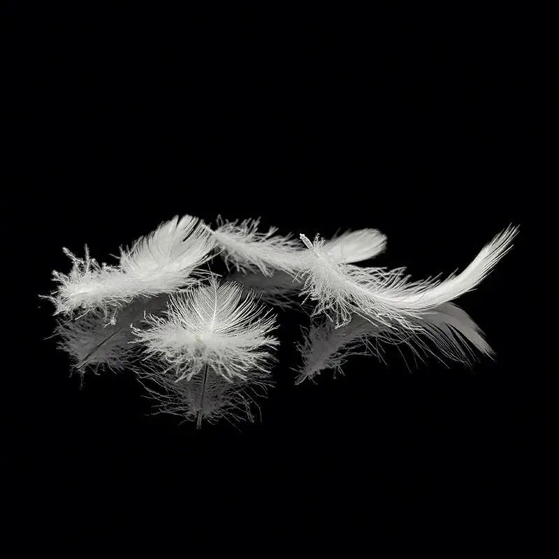  Goose Feather With Good Quality Soft Washed For Pillow Cushion