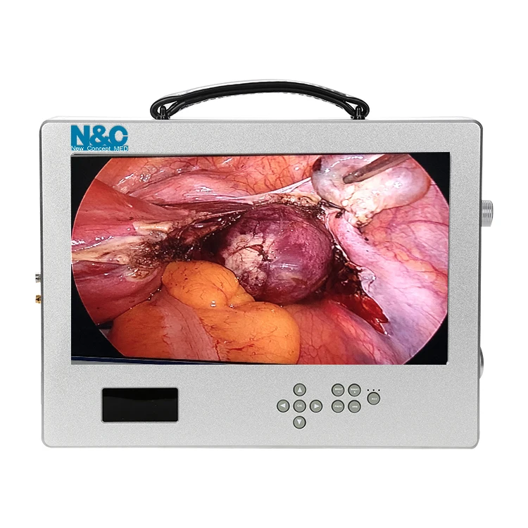 Portable endoscope Full HD resolution gastro-colonoscope veterinary endoscope camera system for pets hospital or clinic