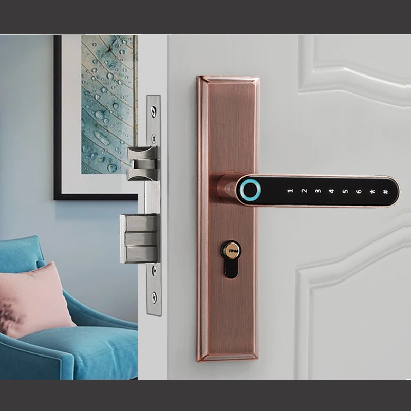 Smart Door Lock With Fingerprint and Keypad and  WIFI App Access Bored Tubular or Mortise For Home Office lock